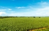 Debate Agroindustrial: biocombustibles y el rol del campo para aumentar el agregado de valor