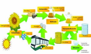Biodiesel: José Garibay impulsa la creación del “Programa Provincial de Migración a Biocombustibles en el Transporte de Santa Fe”