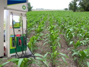 Biocombustibles: el objetivo del Gobierno es elaborar una nueva Ley y no prorrogar la actual