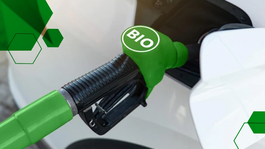 Biocombustibles En Argentina: Es La Hora Del Biodiésel
