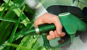 Pymes de biodiesel piden subas antes de los procedimientos preventivos de crisis