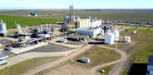Biodiesel y Bioetanol: Kulfas abre el juego para una nueva ley de biocombustibles en argentina