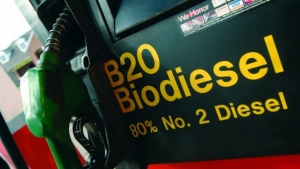 Etanol y Biodiesel: productores destacan que el aumento a los biocombustibles es el inicio de un sendero de recuperación